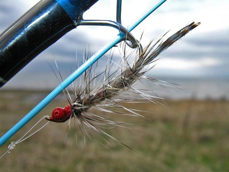 The classic The classic