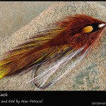 #253 Adirondack - Alan Petrucci #253 Adirondack - Alan Petrucci