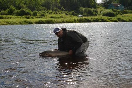 Daniel Despres Daniel Despres