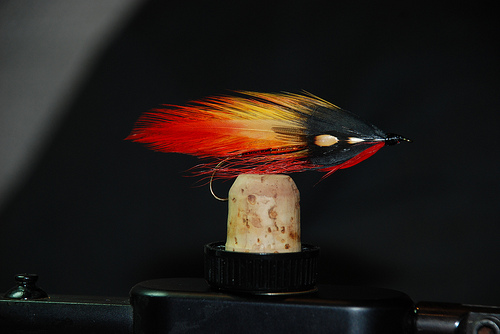 Mike Martinek Jr. - Crow Warrior Mike Martinek Jr. - Crow Warrior