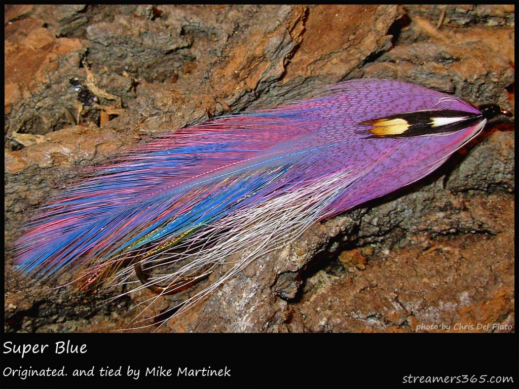 #79 Super Blue - Mike Martinek #79 Super Blue - Mike Martinek