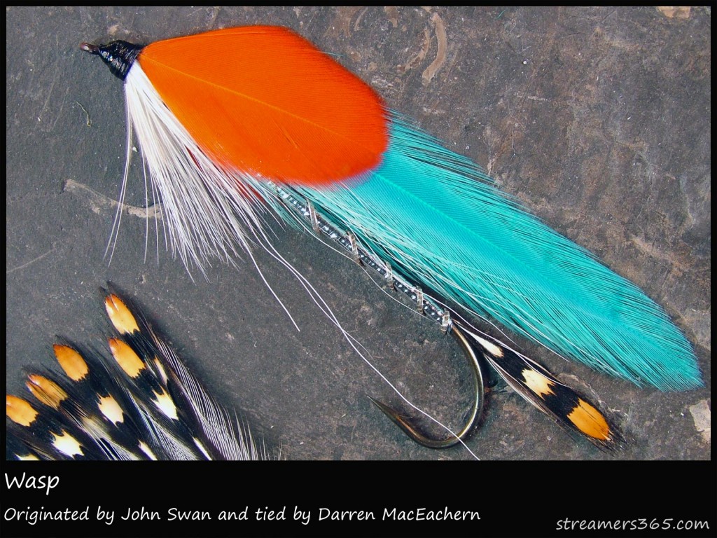 #105 Wasp - Darren MacEachern #105 Wasp - Darren MacEachern