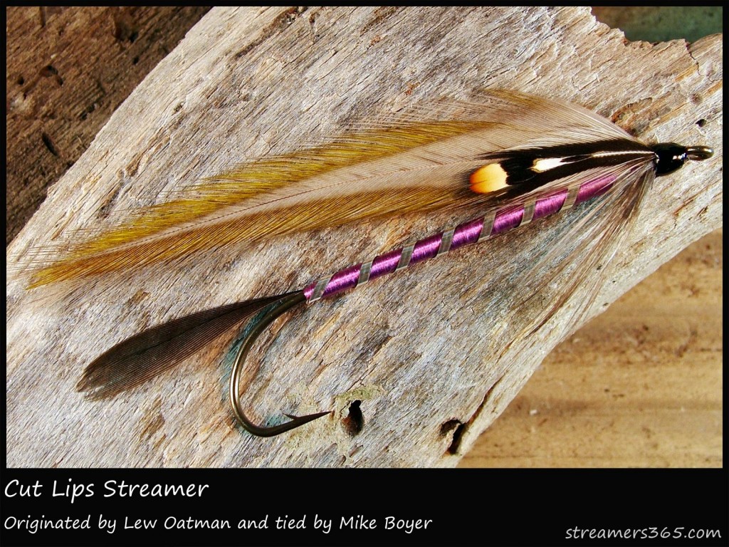 #155 Cut Lips - Mike Boyer #155 Cut Lips - Mike Boyer