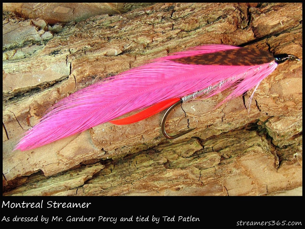 #230 Montreal Streamer - Ted Patlen #230 Montreal Streamer - Ted Patlen