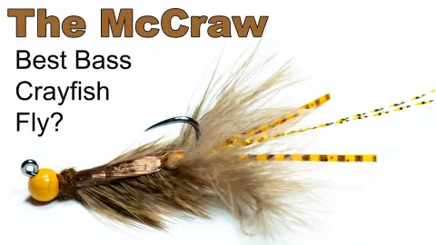 Video thumb for McFly's McCraw