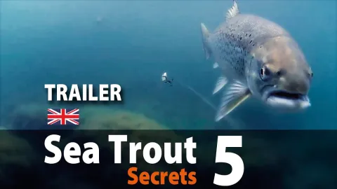 Video thumb for Sea Trout Secrets 5 Spin fishing