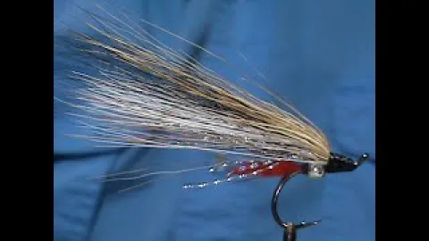 Video thumb for Bead Butt Black Nose Dace