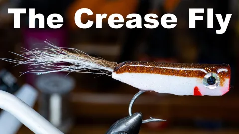 Video thumb for The Crease Fly