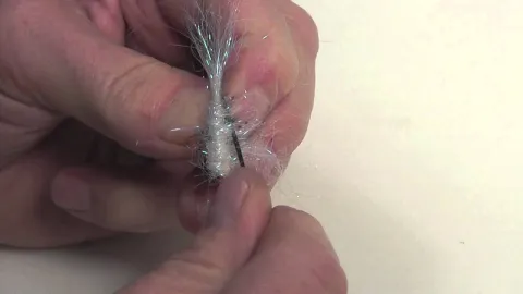 Video thumb for Gorley's S Leech