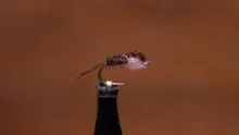 Video thumb for Hotspot Pheasant Tail Nymph