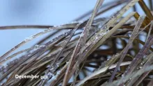 Video thumb for Winter fishing