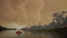 Video thumb for Tapam - Winner of the Drake Award Best Fishing 2010