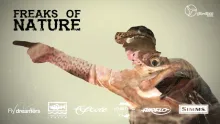Video thumb for Freaks of Nature