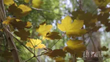 Video thumb for Small water