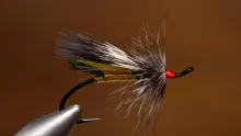 Video thumb for Rusty Rat
