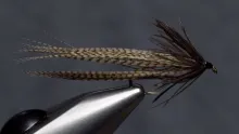 Video thumb for Wood Duck Heron