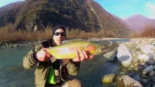 Video thumb for Enjoy The Harvest