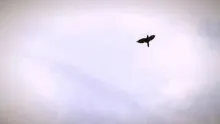 Video thumb for Love Flyfishing