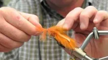 Video thumb for Gary Merriman's Tarpon Toad
