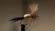 Video thumb for Yellow Humpy