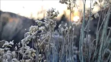Video thumb for Spring Thaw