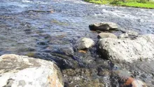 Video thumb for Flyfishing Jämtland Location X