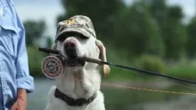 Video thumb for Fly Fishing with Double Up Outfitters