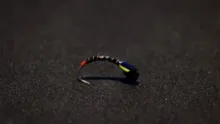 Video thumb for UV-Buzzer
