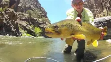 Video thumb for Gorge