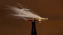 Video thumb for Koga's Hula Charlie