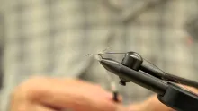 Video thumb for Parachute Adams