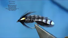 Video thumb for Blue Jay Matuka