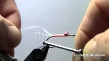 Video thumb for Crazy Charlie