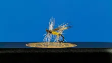 Video thumb for Michigan Stone Dry Fly