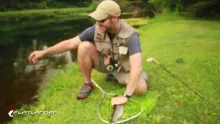Video thumb for Fly Fishing Castalia Rainbow Trout 
