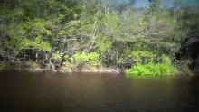 Video thumb for Peacock Bass Fishing at Agua Boa Lodge, Amazon River, Brazil 
