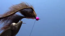 Video thumb for Tungsten Hot Bead Pine Squirrel Leech
