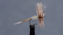 Video thumb for EP Adams