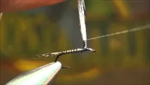 Video thumb for Parachute Adams Variant