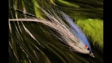 Video thumb for Deep Flatwing