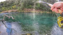 Video thumb for My Best Day Fishing!