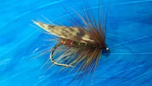 Video thumb for Green Peter Lough Style Wet Fly