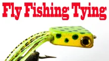 Video thumb for Foam Sheets Frog Part # 02