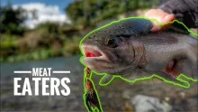 Video thumb for Winter Migration