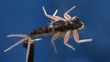 Video thumb for Hemingway Mayfly Softbody
