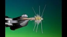Video thumb for Rubber Leg Hares Ear