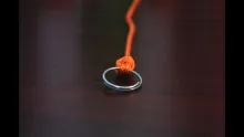Video thumb for Palomar Knot