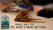 Video thumb for Dave's Panic Button