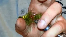 Video thumb for Leeper Lizard 