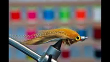 Video thumb for Point Up Zonker Sculpin